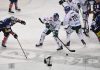 Auswärtssieg für Augsburg – Panther gewinnen gegen Eisbären