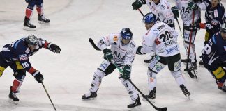 Auswärtssieg für Augsburg – Panther gewinnen gegen Eisbären