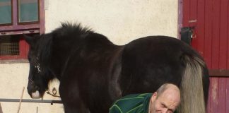 Wer ist hier der Sportler, der Mensch oder das Pferd? – Rudy Köhler im WELTEXPRESS-Exklusivinterview