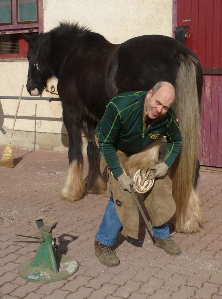 Wer ist hier der Sportler, der Mensch oder das Pferd? – Rudy Köhler im WELTEXPRESS-Exklusivinterview