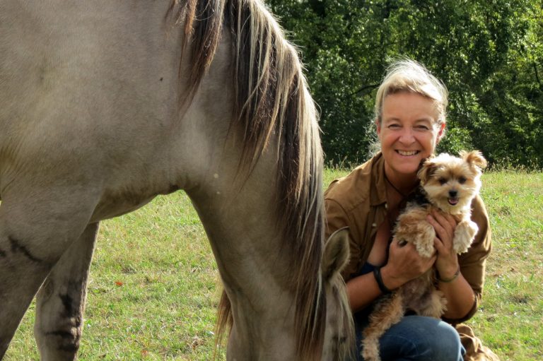Fotoreportage: Monika Lehmenkühler über die Kunst des gebisslosen Reitens