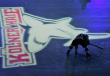 Eisbären im Final-Rausch