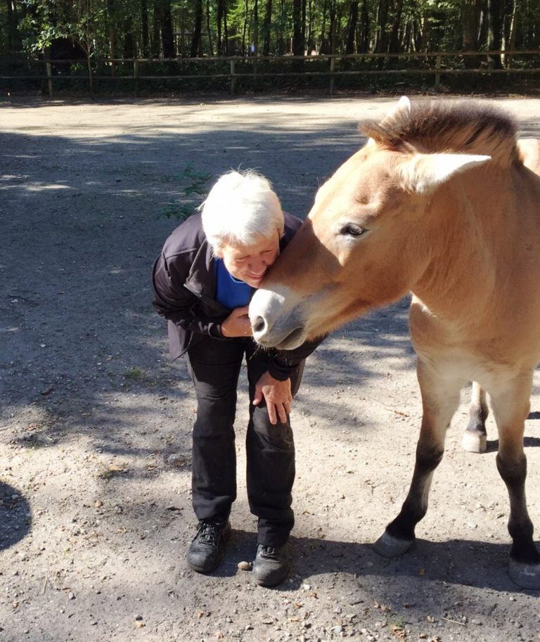 Eine Pferdefrau redet Klartext – Karin Ruder im WELTEXPRESS-Ex­klu­siv­in­ter­view
