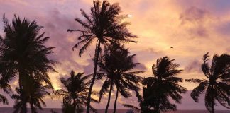 Fotoreportage: Malediven, coole Koralleninseln