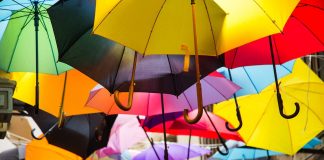 Proteste am Perlfluss – Demonstranten werfen Regenschirme – Heuschrecken in Hongkong