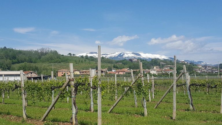 Immer den Gelben Pfeilen folgen! – Radrundfahrt durch Venetien: herrliche Landschaft, freundliche Leute, große Lebensfreude