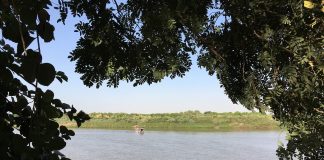 Putsch-Generäle und Oppositionskräfte einigen sich in Khartum auf eine revolutionäre Übergangsregierung für den Sudan