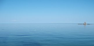 Boris Johnson will Freihandelsabkommen und Freihäfen