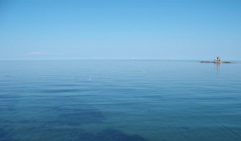 Boris Johnson will Freihandelsabkommen und Freihäfen