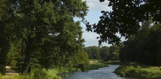 Da mihi factum, dabo tibi jus – Der schale 1. September 2019 in Warschau