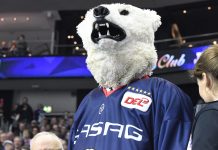 Bissig und besser in der Abwehr und im Angriff – Berliner Eisbären besiegten Kölner Haie