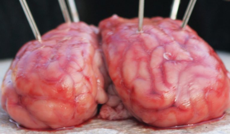 Polemik: EKD-Pfaffengeschmeiß und Christengelump an der Seite von Faschisten der Ukraine oder Großes „Durcheinander“ im Kopf von Annette Kurschus? – Herr, schmeiß Hirn vom Himmel!