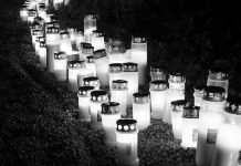 Kommentar: Die Morde der Goldstücke oder Die Toten von Aschaffenburg sind nur ein Kollateralschaden der totalen Umvolkung der BRD durch Christen, Sozen, Olivgrüne und Besserverdienende der üblichen Einheitsparteien