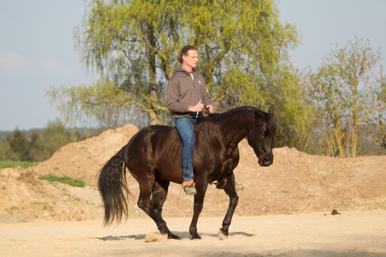 Ist Reiten Sport? – Thomas Günther im WELTEXPRESS- Exklusivinterview