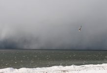 „Schattenflotte“ – Warmlaufen für die nächste Provokation?