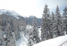 Machtkonzentration bei Milliardären: Mutiert Davos zum Forum für westliche Oligarchen?