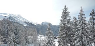 „Der Faschismus sollte Korporatismus heißen“ – Die Allianz zwischen FBI und globaler Finanzelite