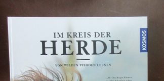 Das Glück der Pferde, ist ein Reiter auf der Erde! – Zum Buch „Im Kreis der Pferde – Von wilden Pferden lernen“ von Marc Lubetzki