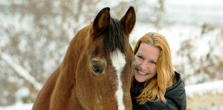 Pferde wissen mehr, als wir denken