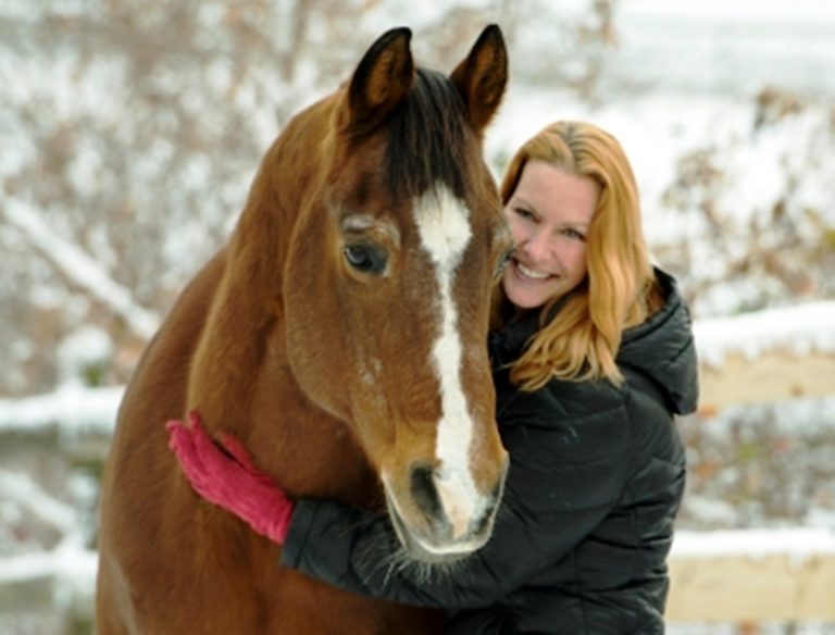 Pferde wissen mehr, als wir denken