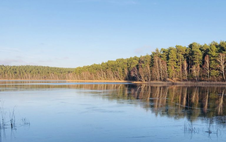 Eine angeblich „repräsentative Umfrage“ oder Die Unzufriedenen und die Verdummten im Bundesstaat Brandenburg
