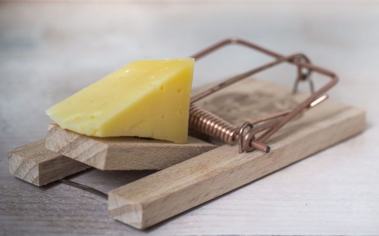 Denglisch und Dummdeutsch auch bei Milch und Käse in der BRD – Käseharfe und Milchkanne in Gold, Silber und Bronze in der Migrantenmetropole Berlin