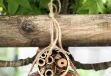 Was bei Bacchus, Flora und Terra ist „Hotel Mutti“? – Beachtliches aus Blech basteln, beispielsweise für Bienen