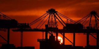 Verstand und Wohlstand schrumpfen – Die Deutschen und Ausländer in der BRD werden immer dümmer und deren Wirtschaft immer schlechter