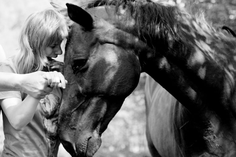 Fotoreportage: Selbstreflektion durch die Beziehung zu Pferden