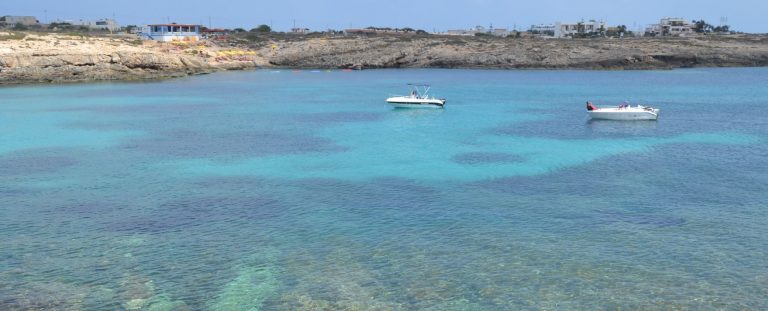 Massive Umvolkung: Hunderte Grenzstürmer und Geldgräber an nur einem Tag