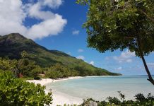 Drei-Tages-Ausflug vom Sund in die Karibik – (Alp-)Traum einer Frachterreise mit MS „Hansa Stralsund“