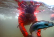 Reisejournalisten-Alltag – Reisen ist zwar ihr Beruf, aber längst nicht alles