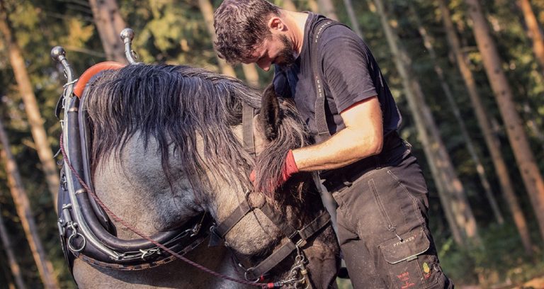 „Pferde in der Bio-Landwirtschaft“ – Korbinian Arzberger im WELTEXPRESS-Exklusiv-Interview