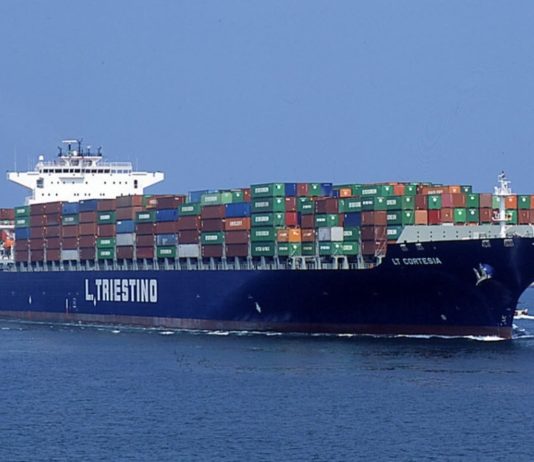Kurlaub auf dreieinhalb Fußballfeldern – Mit dem Mega- Containerfrachter „LT Cortesia“ einmal Hongkong-Hamburg