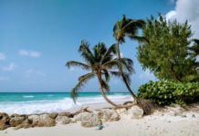 Tödliches Verbrechen oder legal? Dubioser US-Militärschlag gegen mutmaßliches Drogenboot in der Karibik