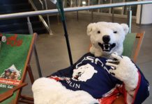 EHC Eisbären Management GmbH gegen EHC Red Bull München GmbH mit Sieg am Sonntagnachmittag