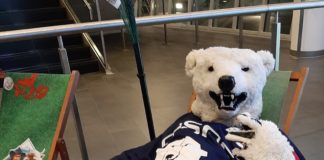 Aus, aus, die Saison ist aus für die EHC Eisbären Management GmbH