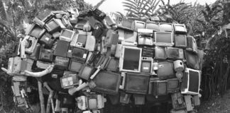 Polemik: Dunja Hayali, Vertreterin eines fremden Volkes und der Journaille in der BRD oder Der Aufstieg einer Lügnerin und Gesinnungsjournailleistin im Staats-TV