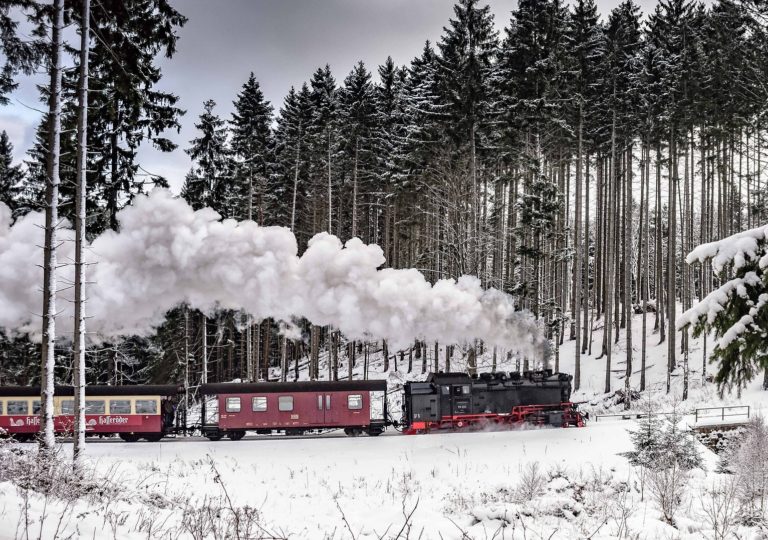 Kleinfamilie aus Banderastan lebte für monatlich 5.500 EUR in der BRD in einem ehemaligen Ferienpark Harz idyllisch am Wald