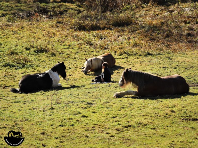 Fotoreportage: Lisa Spitzer – ein kleines Paradies