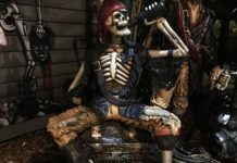 Die Zeit der Piraten