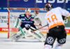 Sieg im Bären-Duell in Berlin – Grizzlys 3, Eisbären 2