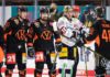 Grizzlys jagen Eisbären