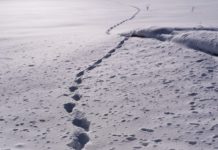 Kommentar: Millionen Menschen halten es im Finnland genannten Staat des Kapitals ohne Psychopharmaka und Alkoholika nicht aus