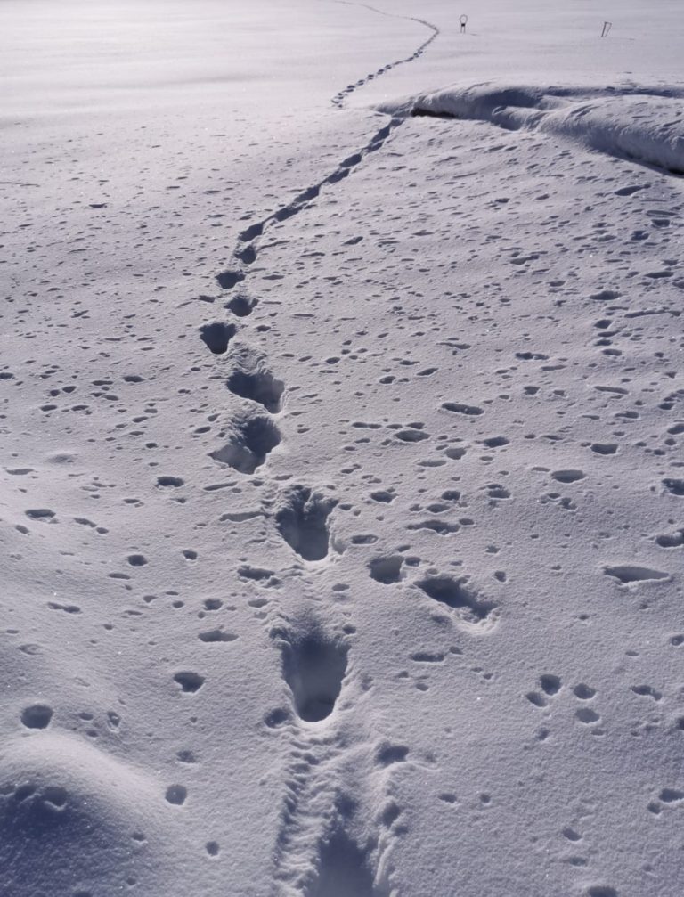 Mehr als Kalter Krieg – Kriegsvorbereitung in Finnisch-Lappland