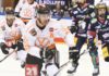 Bären-Finale: Berliner Eisbären vor dem ersten Endspiel gegen Grizzlys aus Wolfsburg – Mit aller Macht zur Acht!