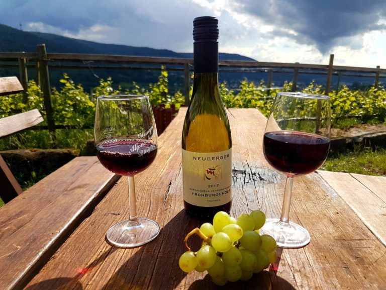 Weinverkostung in der Meistersingerhalle