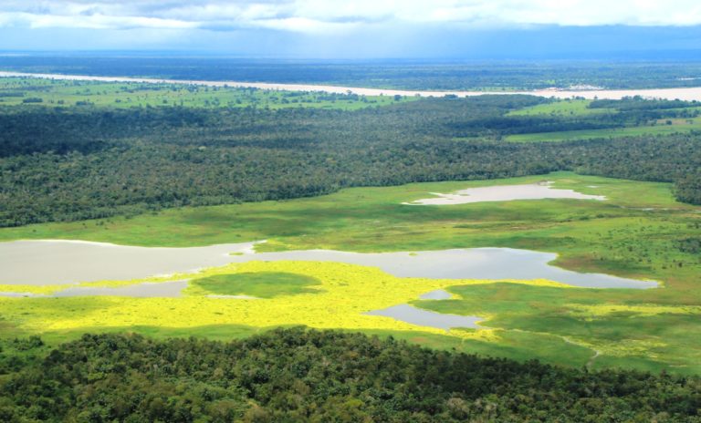 „Ordnung und Fortschritt“ oder Aufstand und Umsturz? – Heizt Alexandre de Moraes die Stimmung im Brasilholz-Baum-Staat weiter an?