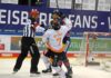 Heute: Nächstes Bären-Duell in der DEL – „Nur zwei Siege bis zum Titelgewinn“ (Serge Aubin)