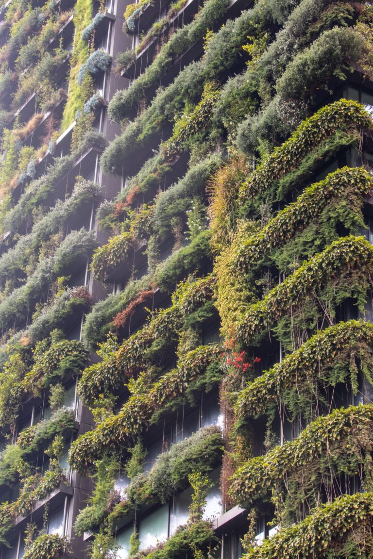 Zu feige, in die Höhe zu bauen? – Energetische und ökologische Wolkenkratzer, auch aus Holz!